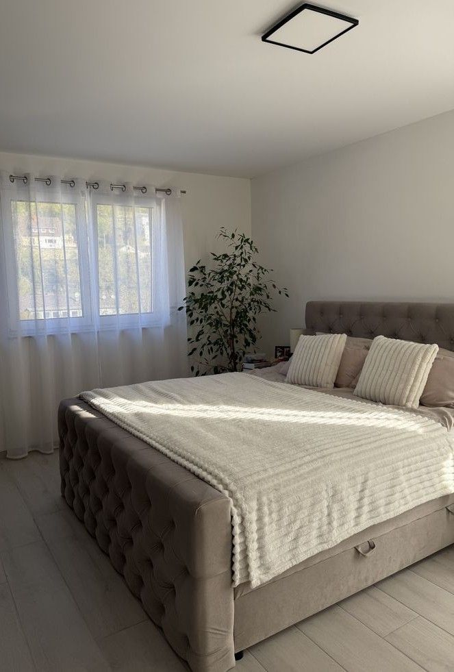 Shree constructions2.jpg