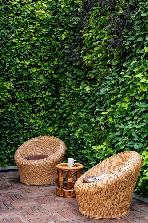 biophilic_design_02 - Copy.jpg